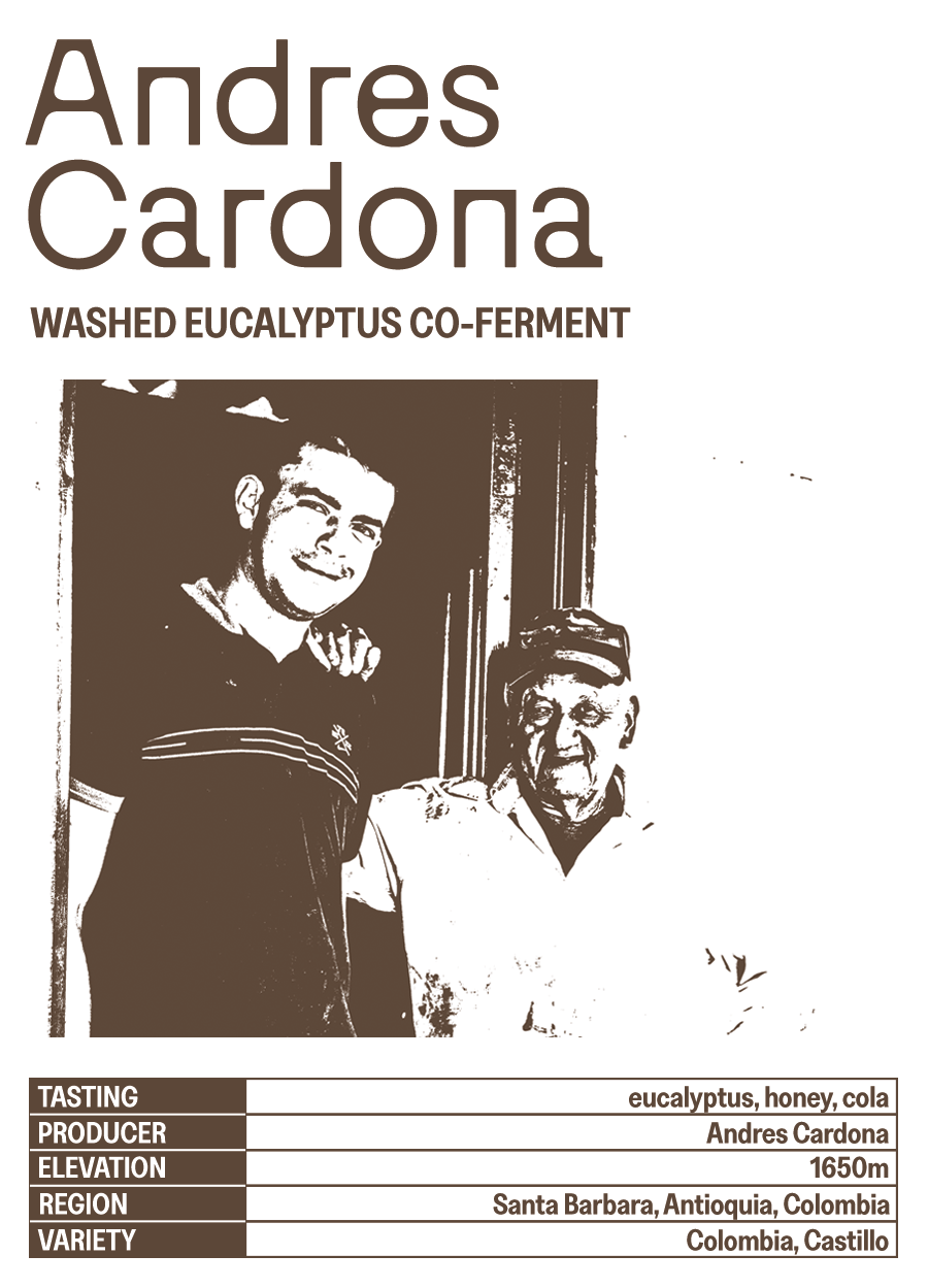 Andres Cardona Eucalyptus