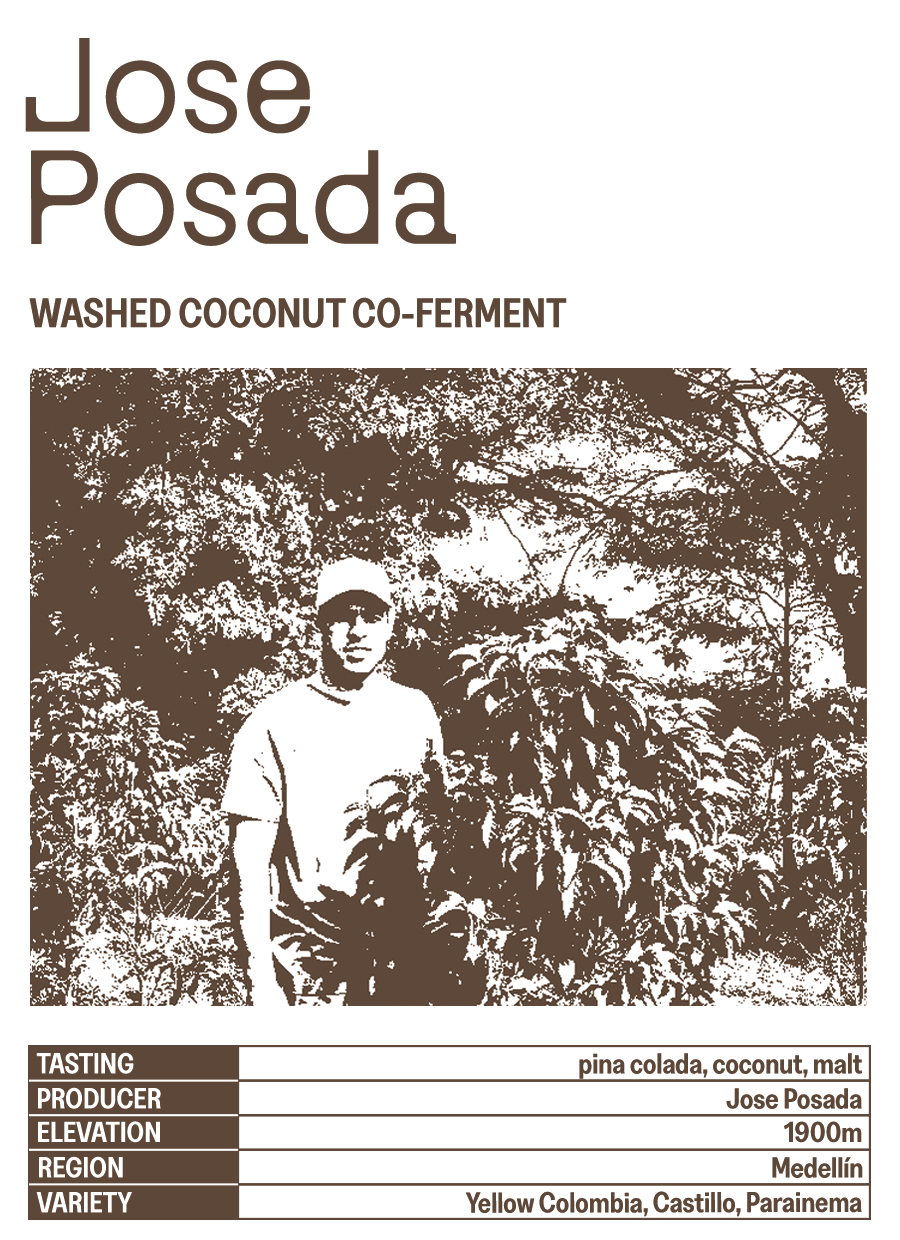 Jose Posada Coconut