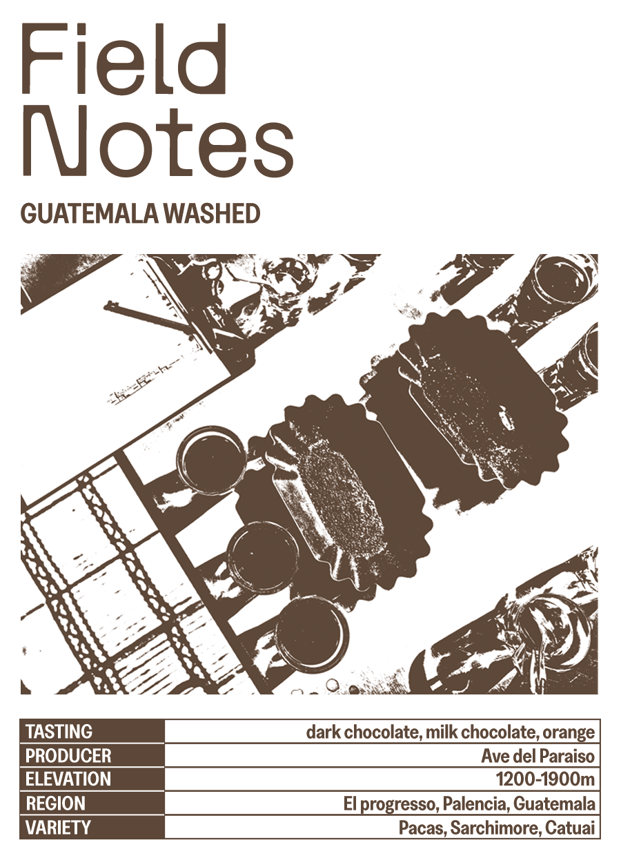 Field Notes