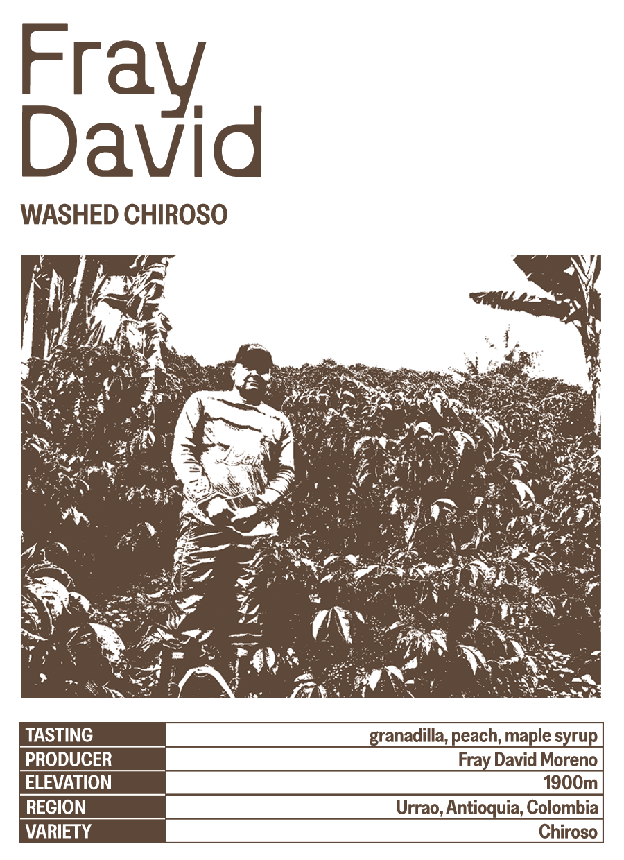 Fray David