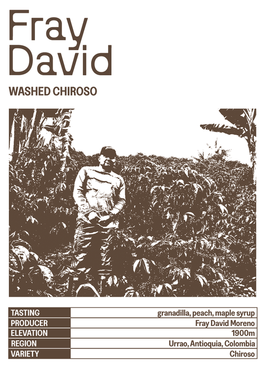 Fray David
